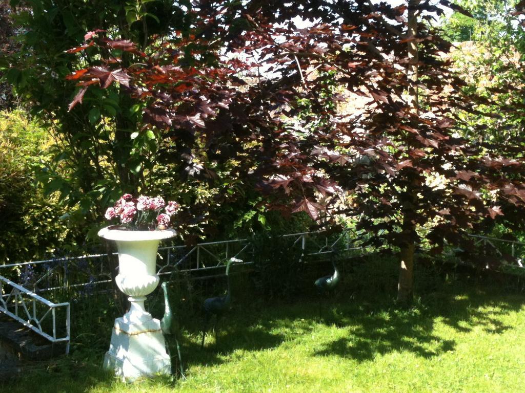 Charlemont House Moy Bed & Breakfast Exterior photo